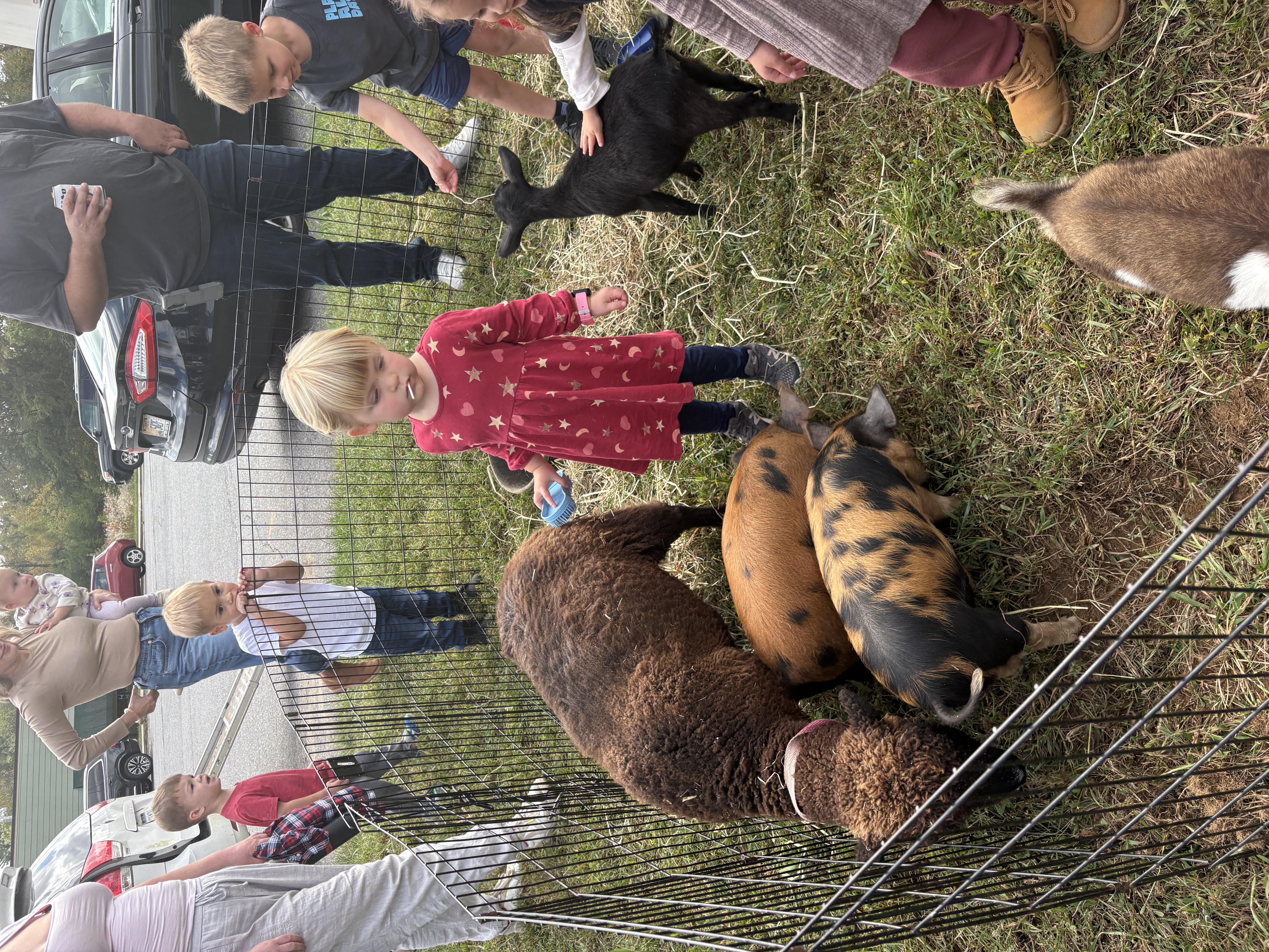 Children at petting zoo during Fall Festival